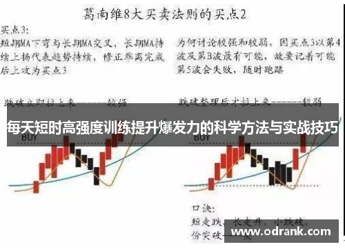 每天短时高强度训练提升爆发力的科学方法与实战技巧